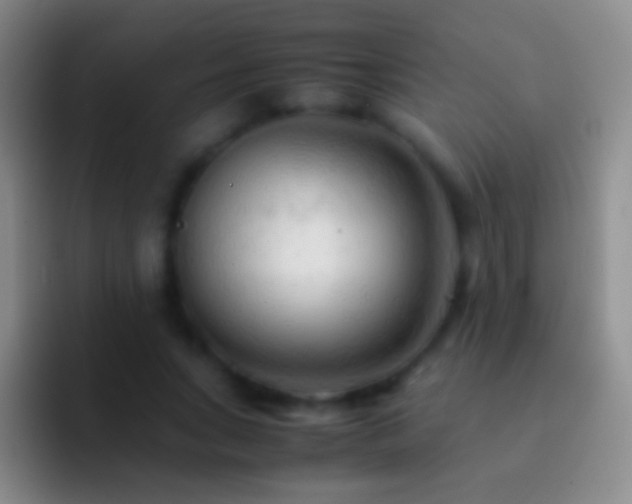 X0000092310735200709211249