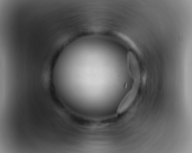 X0000092310736200709211249