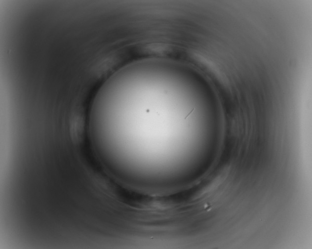 X0000092310739200709211249