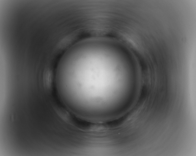 X0000092310742200709211249