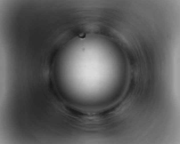 X0000092310745200709211249