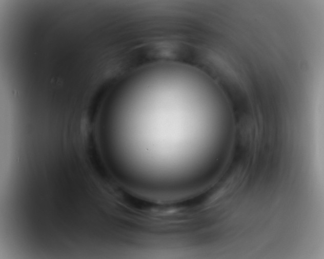 X0000092310747200709211249