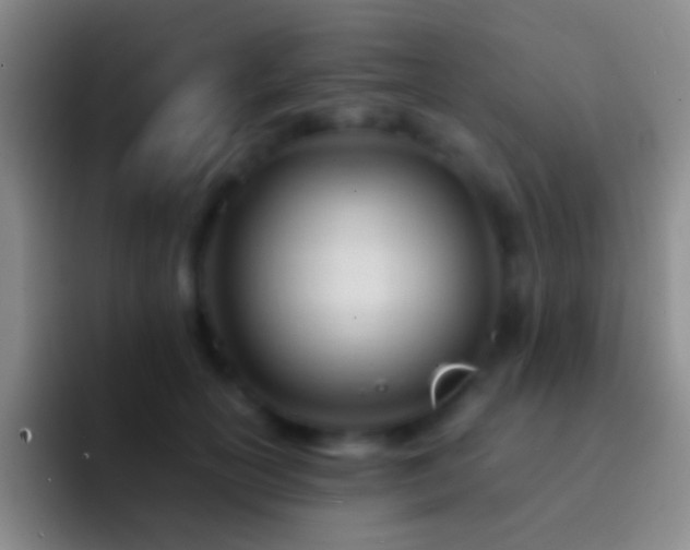 X0000092310754200709211249