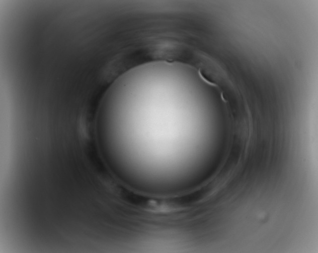 X0000092310755200709211249