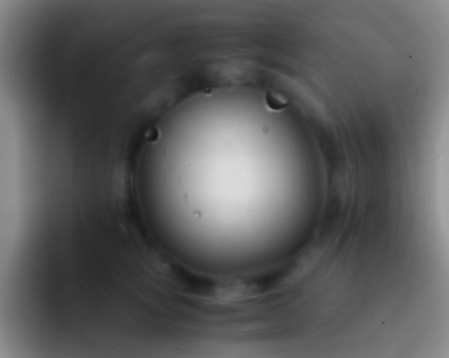 X0000092310757200709211249