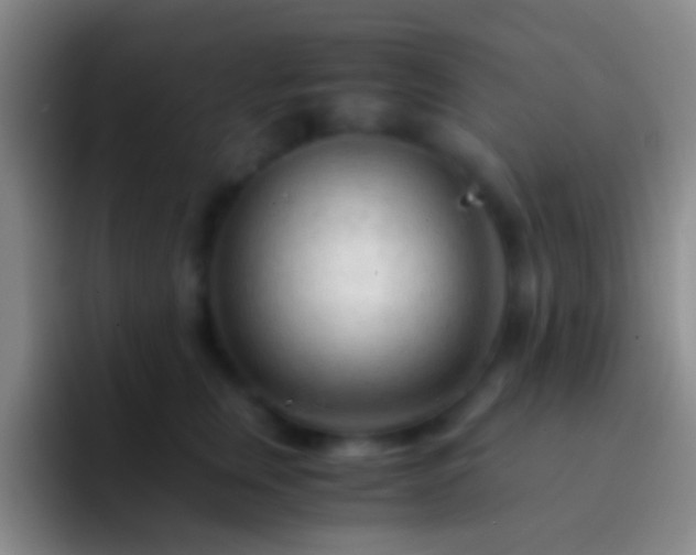 X0000092310759200709211249