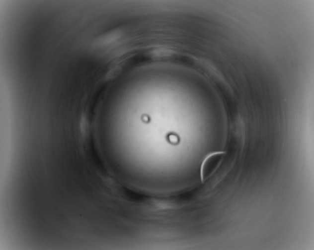 X0000092310763200709211249