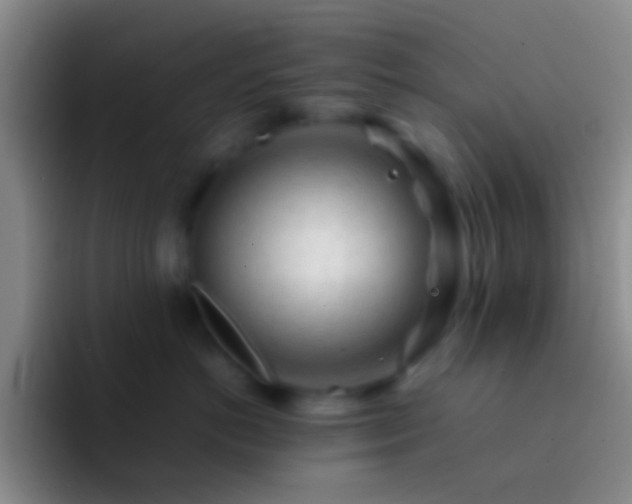 X0000092310766200709211249