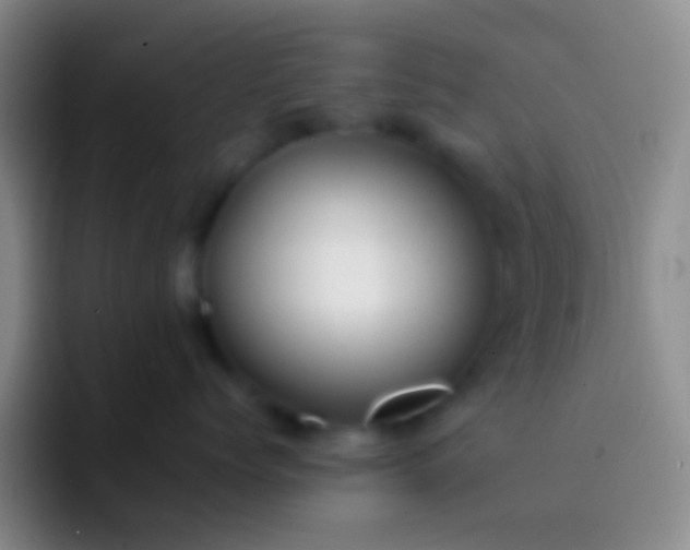 X0000092310768200709211249