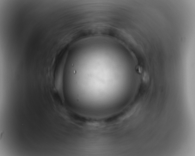 X0000092310771200709211248