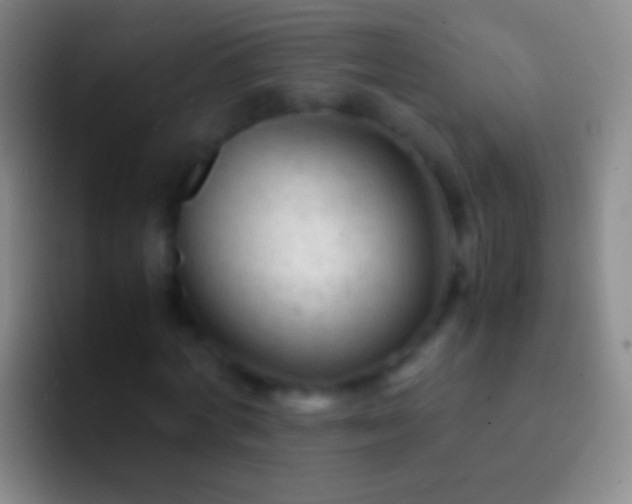 X0000092310772200709211248
