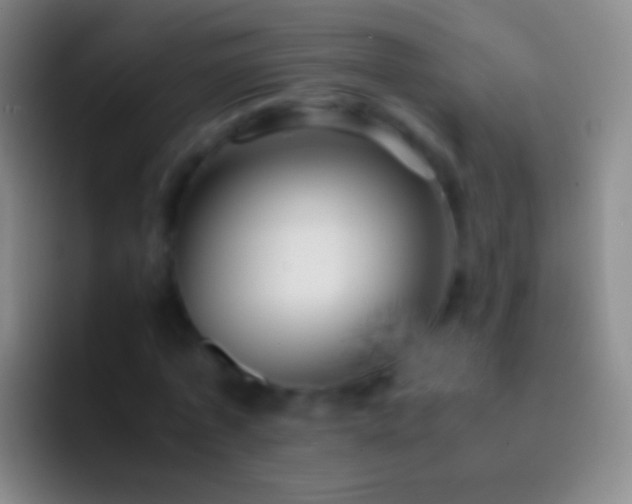 X0000092310773200709211248
