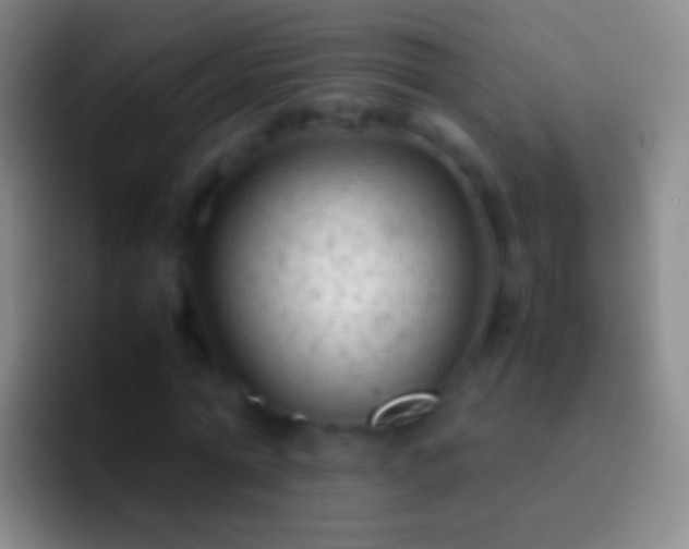 X0000092310774200709211248