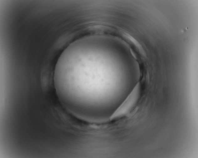 X0000092310775200709211248