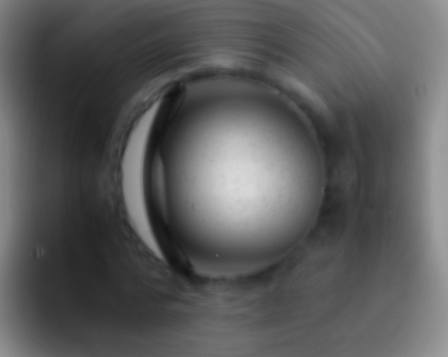 X0000092310776200709211248