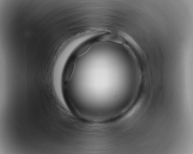 X0000092310777200709211248
