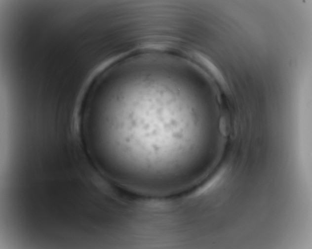 X0000092310779200709211248