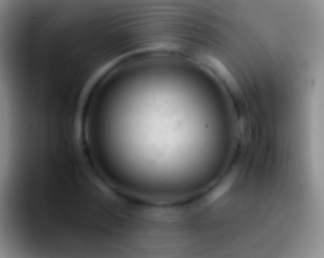 X0000092310780200709211248