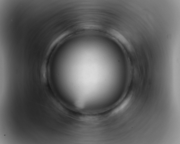 X0000092310782200709211248