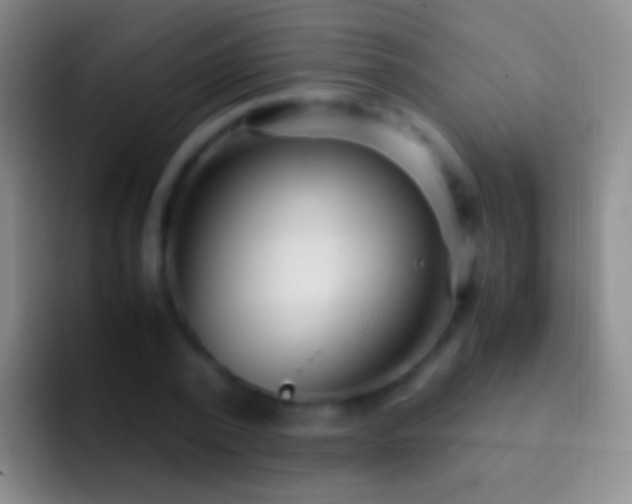 X0000092310784200709211248