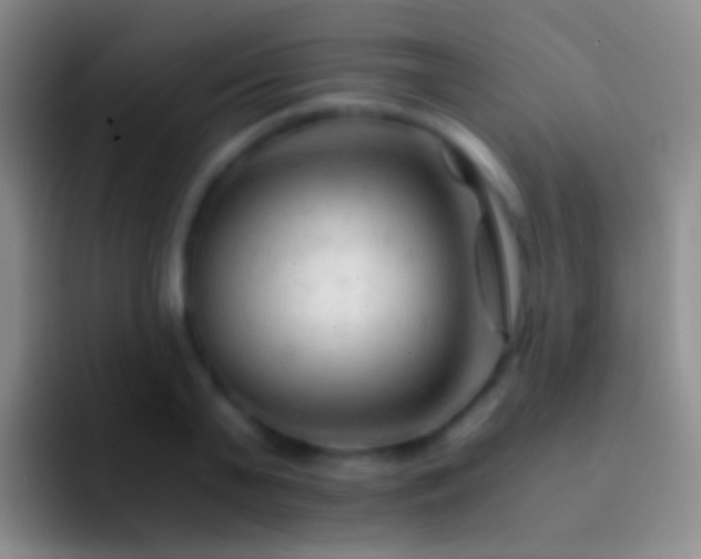 X0000092310791200709211248