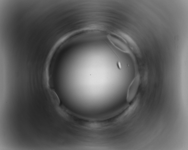 X0000092310792200709211248