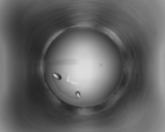 X0000092310804200709211248