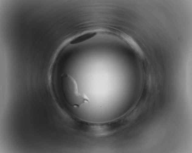 X0000092310805200709211248