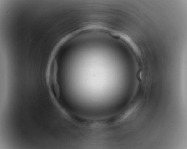 X0000092310815200709211248