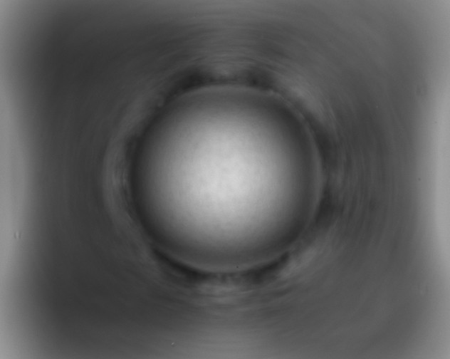 X0000092310817200709211247