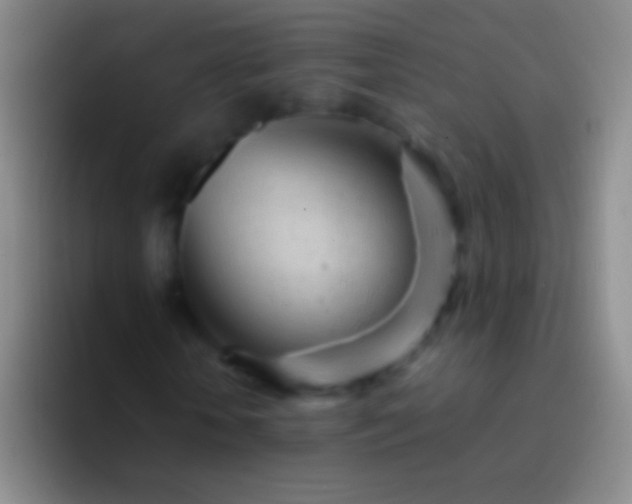 X0000092310818200709211247
