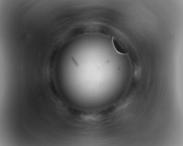 X0000092310819200709211247