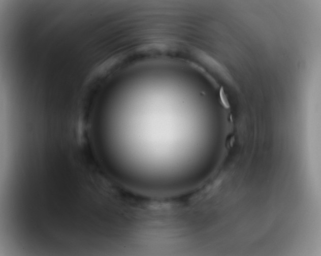 X0000092310822200709211247