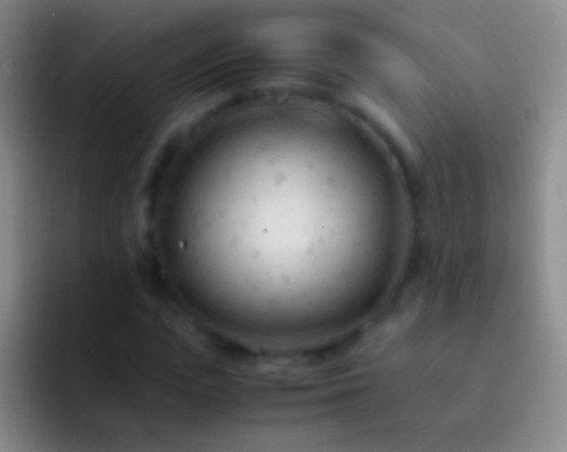 X0000092310823200709211247