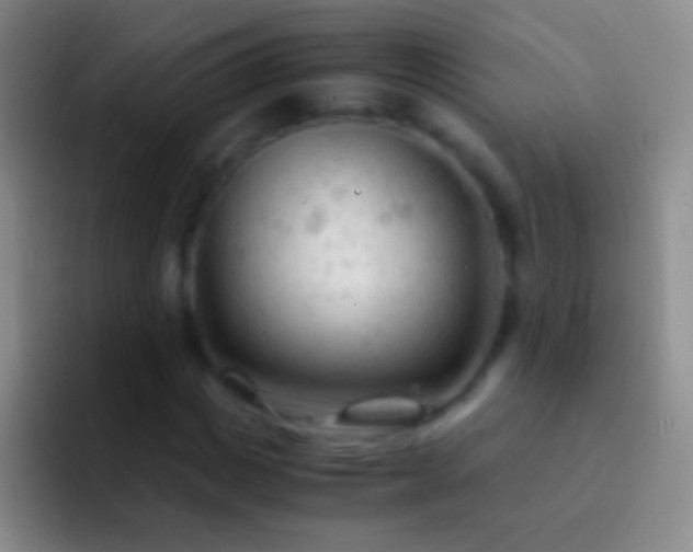 X0000092310825200709211247