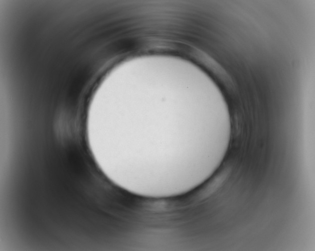 X0000092310828200709211247