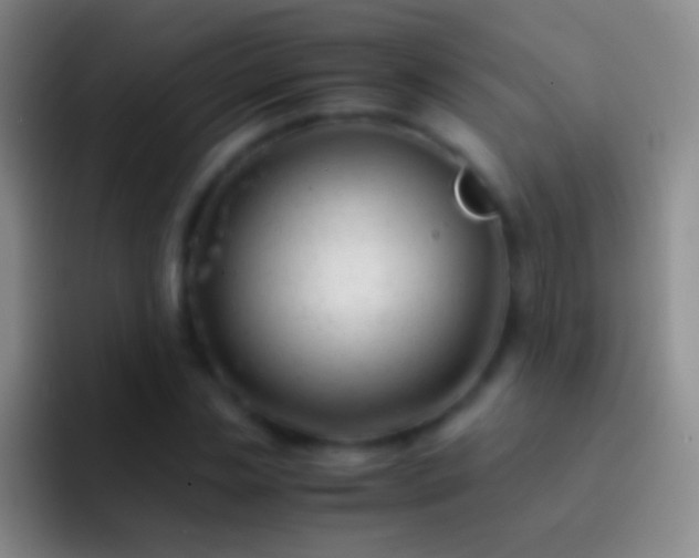 X0000092310829200709211247