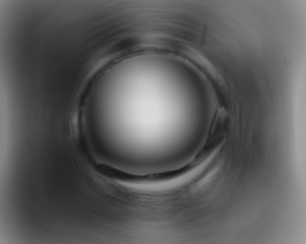 X0000092310830200709211248