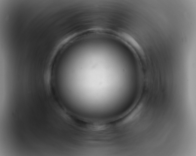 X0000092310831200709211248