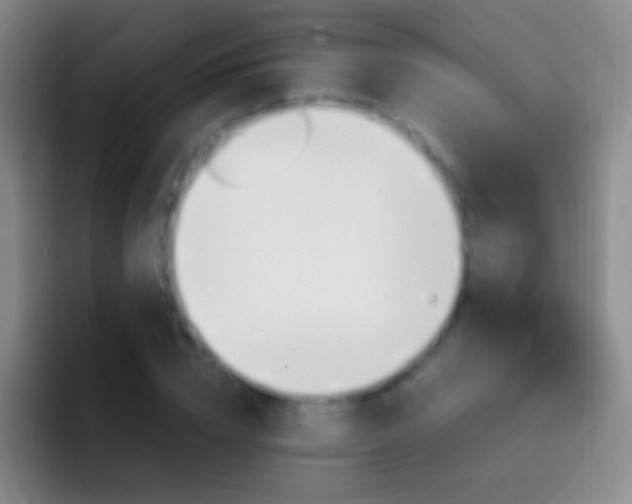 X0000092310832200709211248