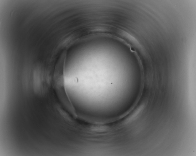 X0000092310833200709211248