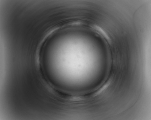 X0000092310835200709211248
