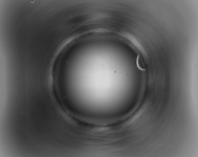 X0000092310837200709211248