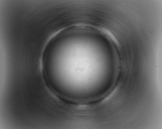 X0000092310839200709211248