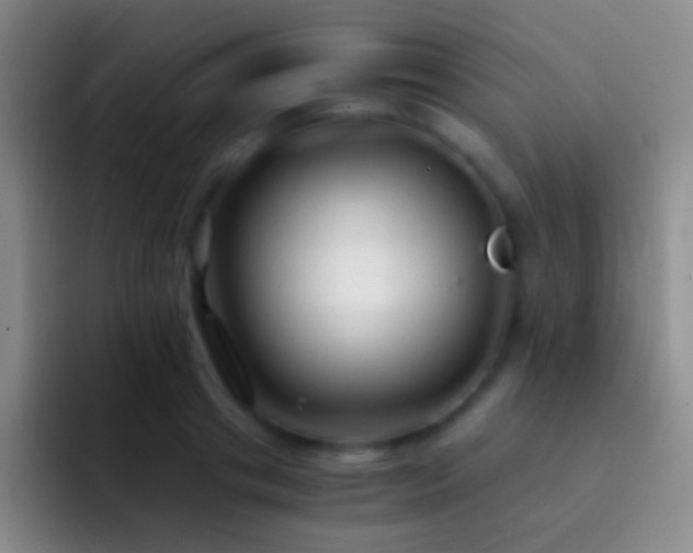 X0000092310841200709211248