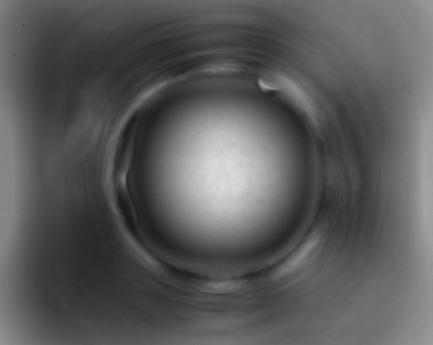 X0000092310843200709211248