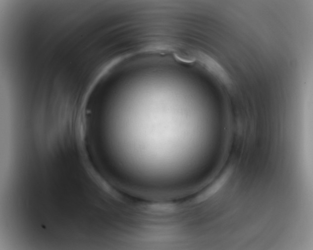X0000092310844200709211248