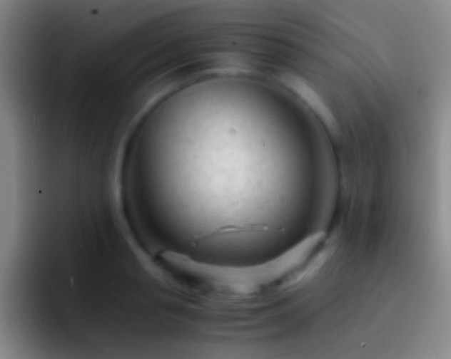 X0000092310845200709211248