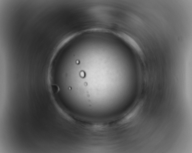 X0000092310847200709211248