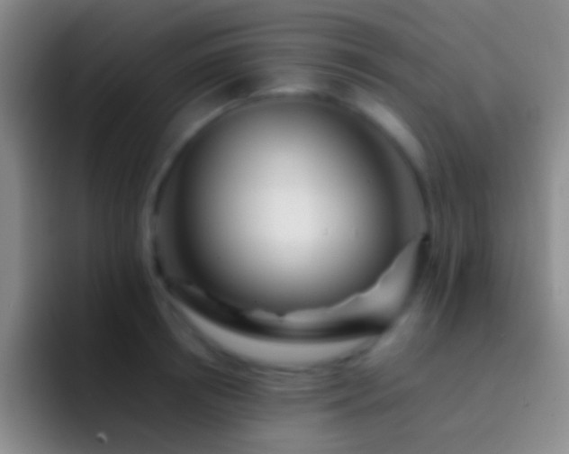 X0000092310850200709211248